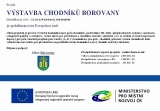 Výstavba chodníků Borovany